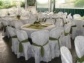 /album/decora%c3%a7%c3%a3o%20festa/a67214691-6-decoracao-de-eventos-casamentos-aniversarios-bodas-e-formaturas-em-sao-paulo-sao-paulo-jpg/